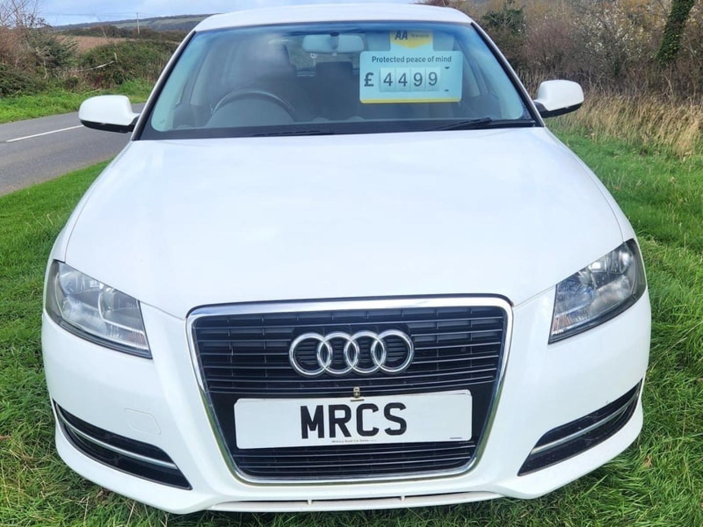 Thumbnail image missing